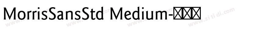 MorrisSansStd Medium字体转换
